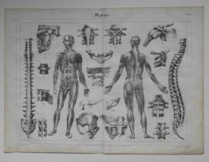 Medical prints